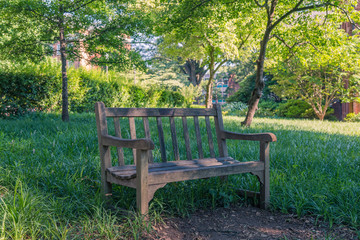 Lonely bench in the park.
