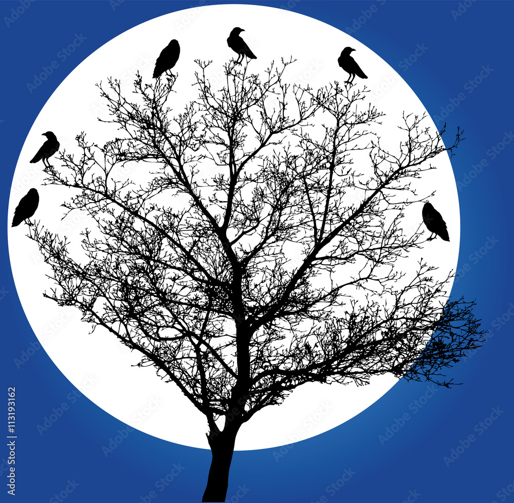 Wall mural vector tree in the moonlight with crows