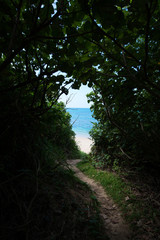 沖縄のビーチ・海が見える小径
