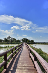 Fototapeta premium Bridge with blue sky