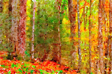 The Forest On Paper
