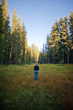 Woman Standing In Forest Meadow