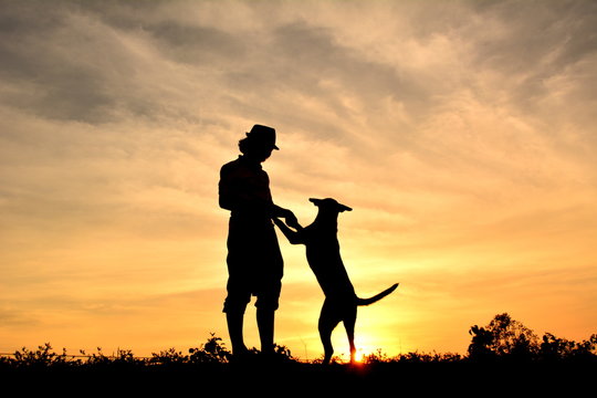 Silhouette people and dog playing at sunset
