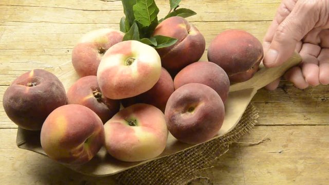Prunus Persica バントウ 蟠桃 Pesca tabacchiera Saturn Peach אפרסק פיתה Platicarpa كعب الغزال Pessegueiro Platycarpa هلو انجیری Paraguayo Brzoskwinia zwyczajna Lamevirsik Paraguaya فاكهة Персик Şeftali