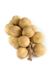 Longkong, Langsat or Lanzones fruit is endemic to Southeast Asia