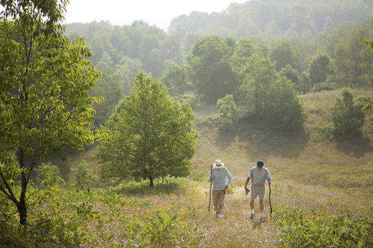 Senior hikers walking on field