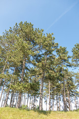 Landschaft im Frühling