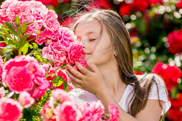 Fototapeta premium Beautiful girl standing in the park of roses.