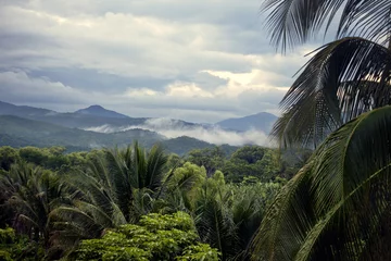 Papier Peint photo Jungle Paysage avec forêt tropicale et montagnes