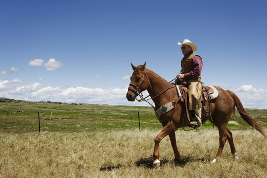 Cowboy on horse surveying land