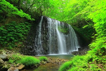 Fototapeta na wymiar 新緑の衣の滝