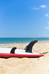 Surfboards lying on sand ocean beach background, closeup outside
