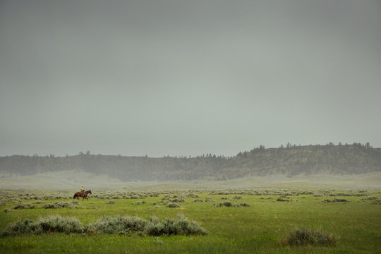 Cowboy on horse surveying land