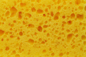 background of yellow sponges