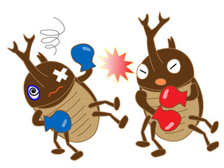 昆虫のボクシング