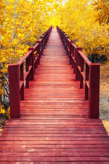 Fototapety  drewniany most i jesienny las.