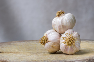 garlic