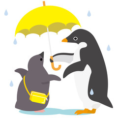 アデリーペンギン 雨の日の送り迎え