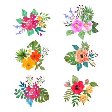 Vector flowers set. Colorful floral collection with leaves and f