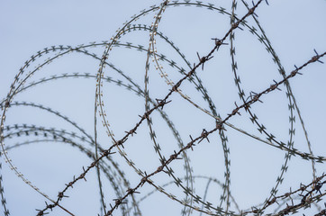 Barbed wire