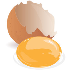 Broken egg isolated vector