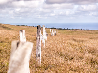Fences of Easter Island