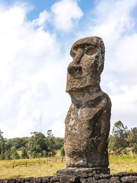 The Akivi Moai