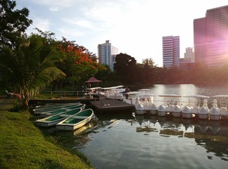Fototapeta na wymiar Lumphini Park, Bangkok