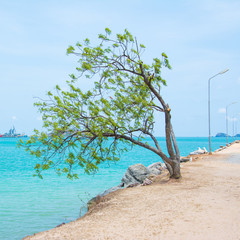 Sea view background