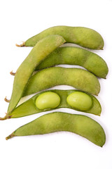 Soybean isolated on white background