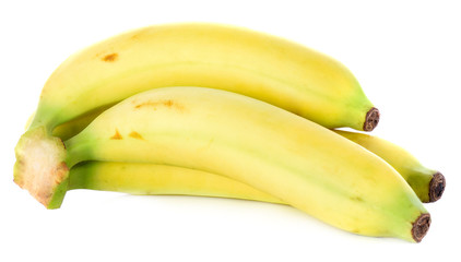 bananas on white background