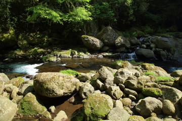 初夏の熊本菊池渓谷