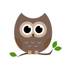 owl icon
