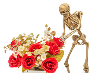 Skeleton holding a red flowers