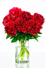 Peonies in a glass vase with water