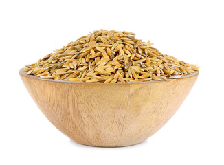 paddy grains on white background