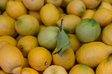Lemons at a market in Valencia