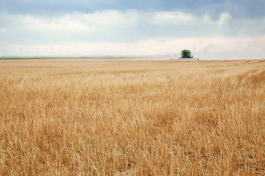 Distant view of tractor on wheat field