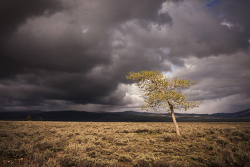 storm clouds over plain