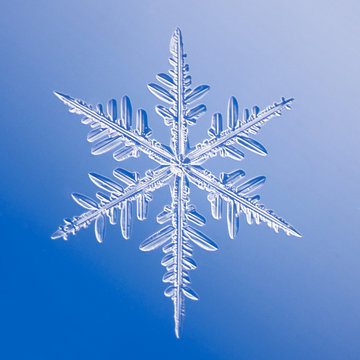 Close-up of snowflake against blue background