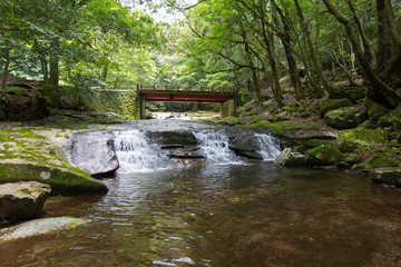 Fototapeta premium 愛媛県鬼北町 成川渓谷