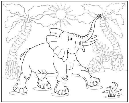 Coloring book or page with elephant, palms and exotic plants. Vector illustration.
