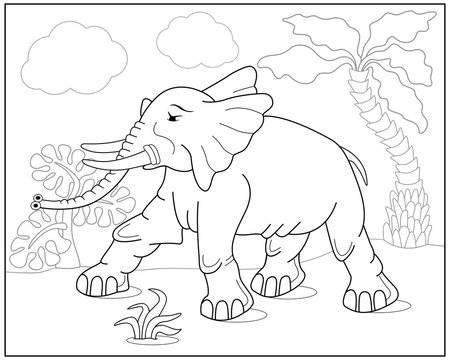 Coloring book or page with elephant, palm and exotic plants. Vector illustration.