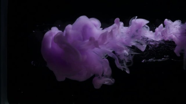 Purple flower on a black background