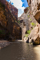 The Narrows in Zion National Park, Utah, USA