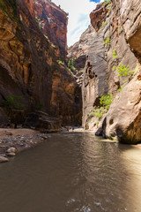 The Narrows in Zion National Park, Utah, USA