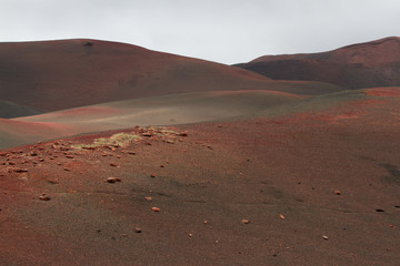 Desert stone volcanic landscape in Lanzarote, Canary Islands 