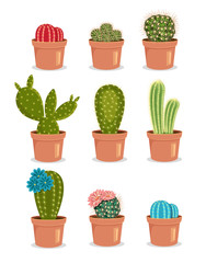 Bloeiende cactus. Cactus met bloem. Cactussen in pot. Gekleurde cactussen. Vector platte cartoon pictogram illustratie set