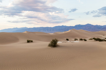 Sunset at Mesquite Flat Sand Dunes in Death Valley National Park, California, USA