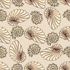 seashell pattern 14